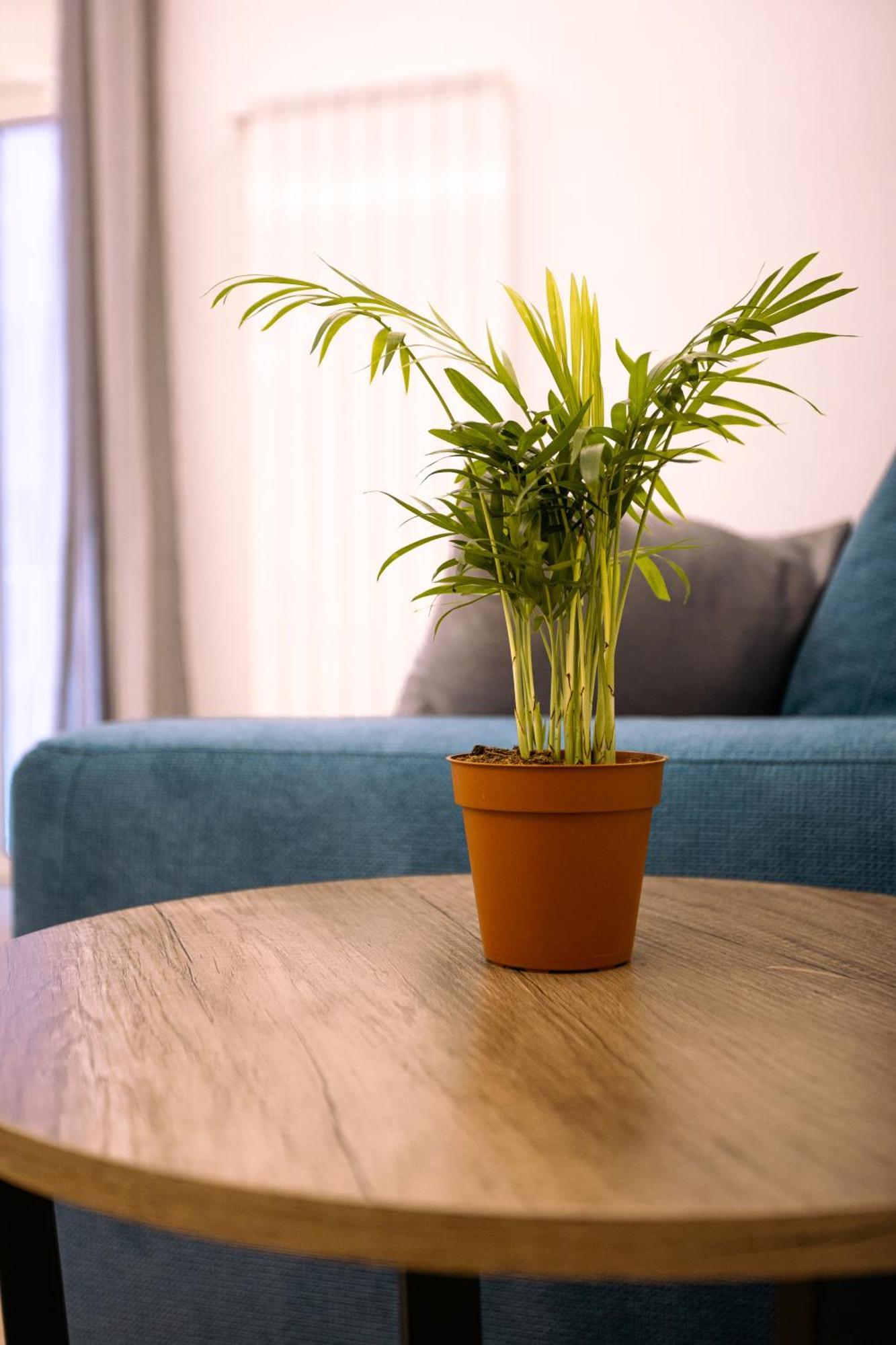 Song House Apartment Centro Storico 7 Pax เนเปิลส์ ภายนอก รูปภาพ